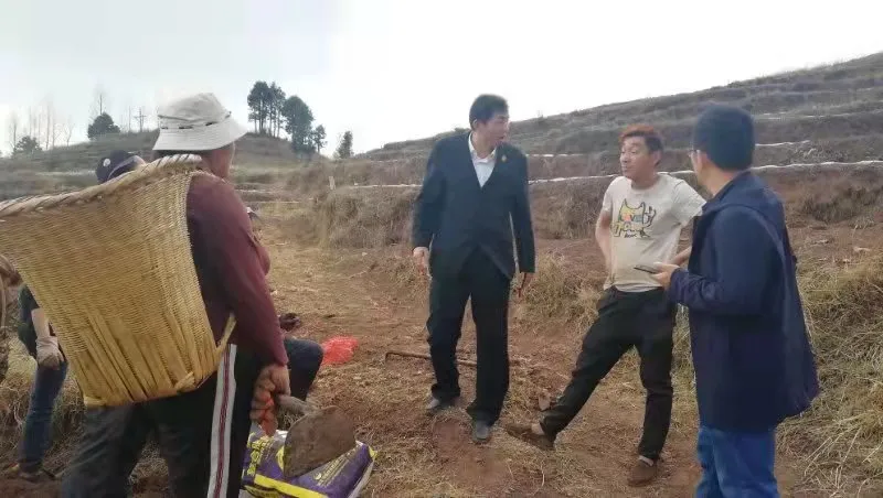 【九龙杯】执行随感