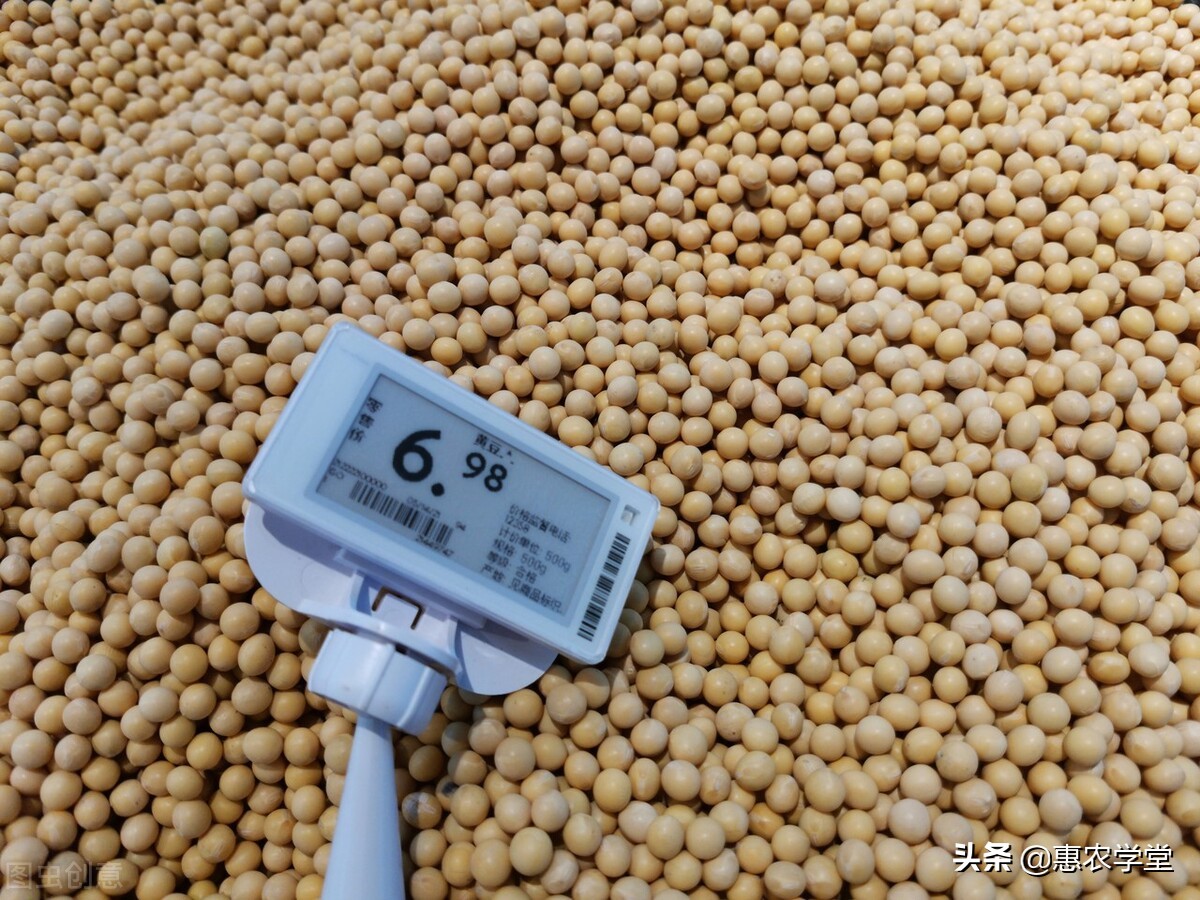 2021年8月大豆多少钱一斤？为何会跌价？后期大豆价格走势分析