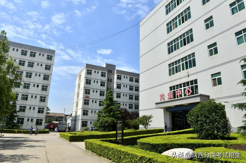 陕西艺术职业学院2020年分类考试招生章程