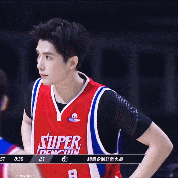 预定顶流？盘点未播双男主剧中的潜力股，谁将成为“财富密码”？