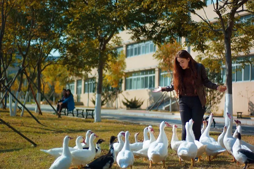 来大外！一起展望前方星辰大海！