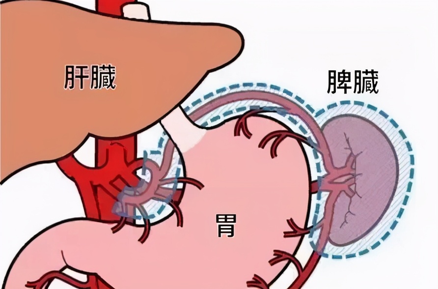 大便怎么老爱粘马桶？仅仅是湿气重？医生讲完再教你一套手上动作