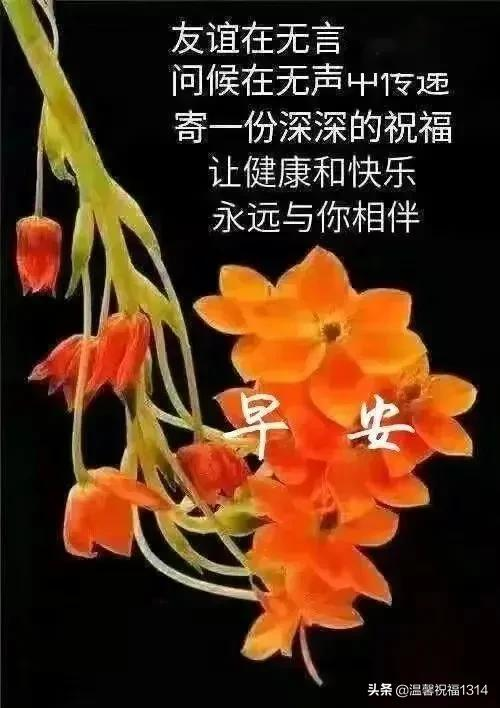 早上好,心情好,身体好,样样好