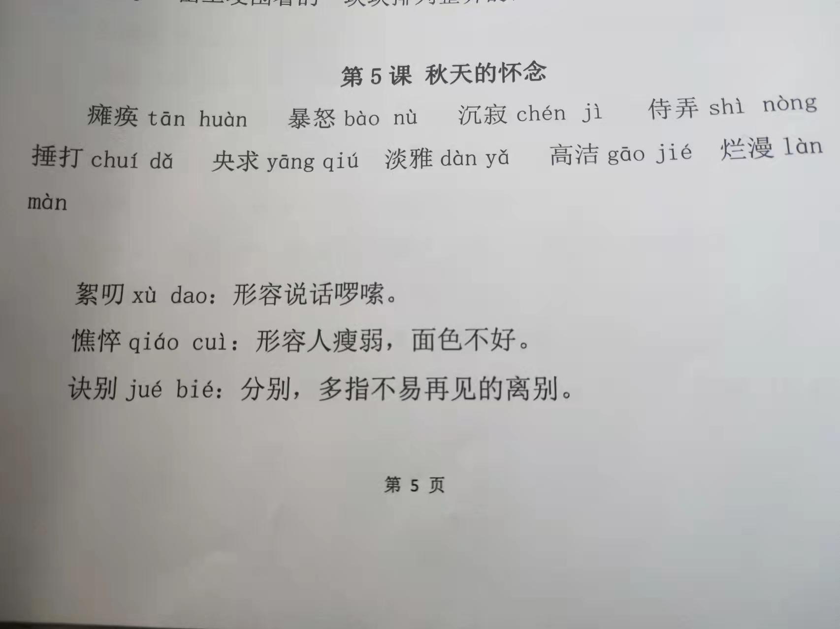 《我与地坛》精句赏读：史铁生笔下的生命哲思与情感回响