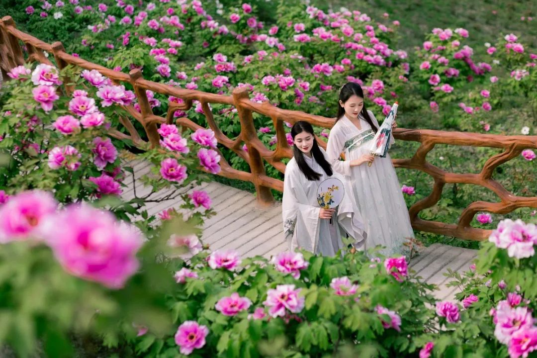 清明节去哪玩？重庆这些地方值得去踏青