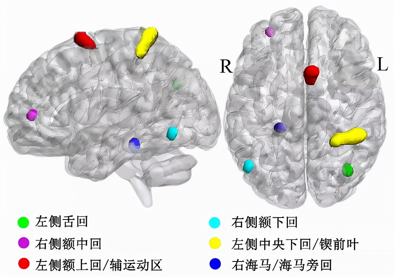 脑科学：某些人的卑鄙或者英雄主义行为，是源于无法自控的脑活动