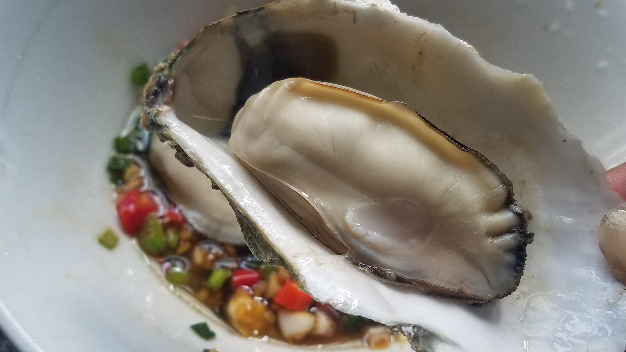 生蚝开壳技巧与简单烹饪方法