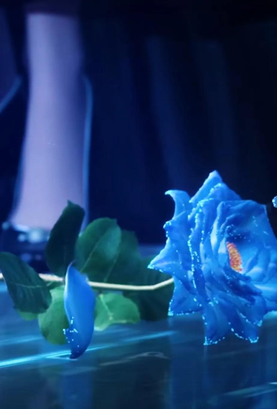 短视频的黄金时代或许即将结束