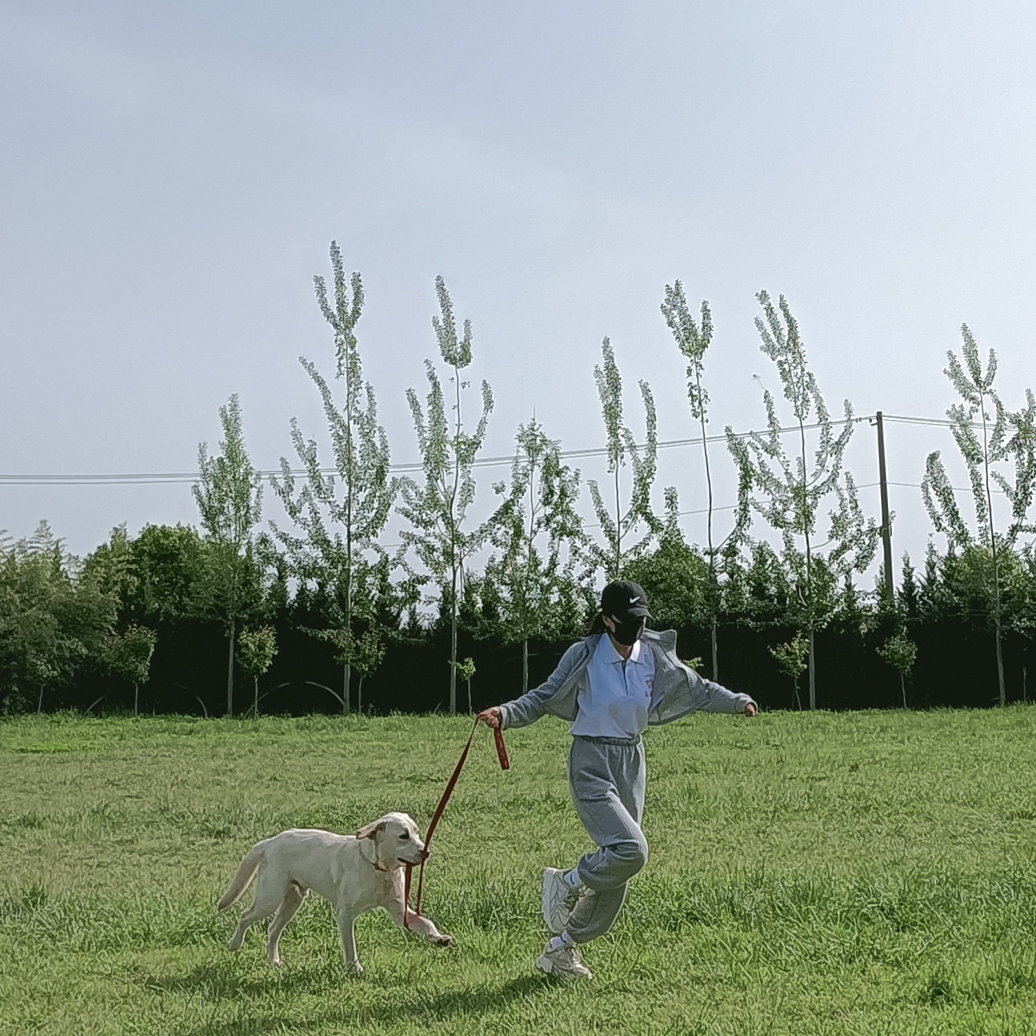 什么是2000万人关注的导盲犬基地？在这里，狗和志愿者才是主角