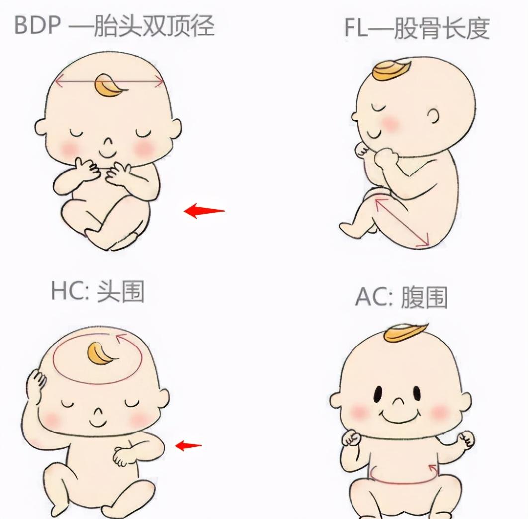 宝宝的头型会影响智商？给孩子睡个漂亮的头型，5个方法很实用 - 知乎