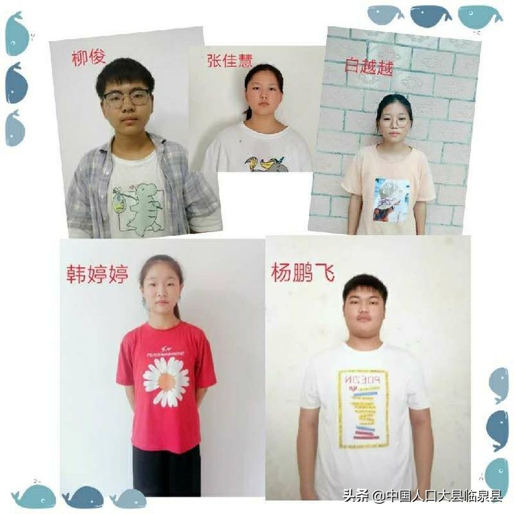 临泉县杨小街中心校2020中考喜报