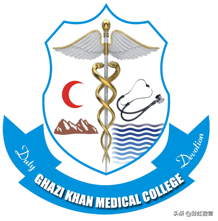 蛇杖到底是什么,盘点世界上的蛇杖徽章(徽章看世界)