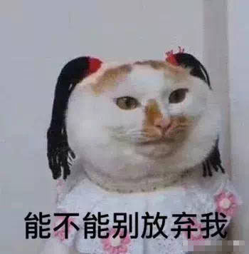 哄女朋友的表情包：像你这么漂亮的人，说什么都是对的