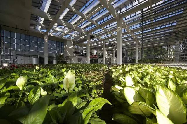 设计院给自己盖楼都长啥样？