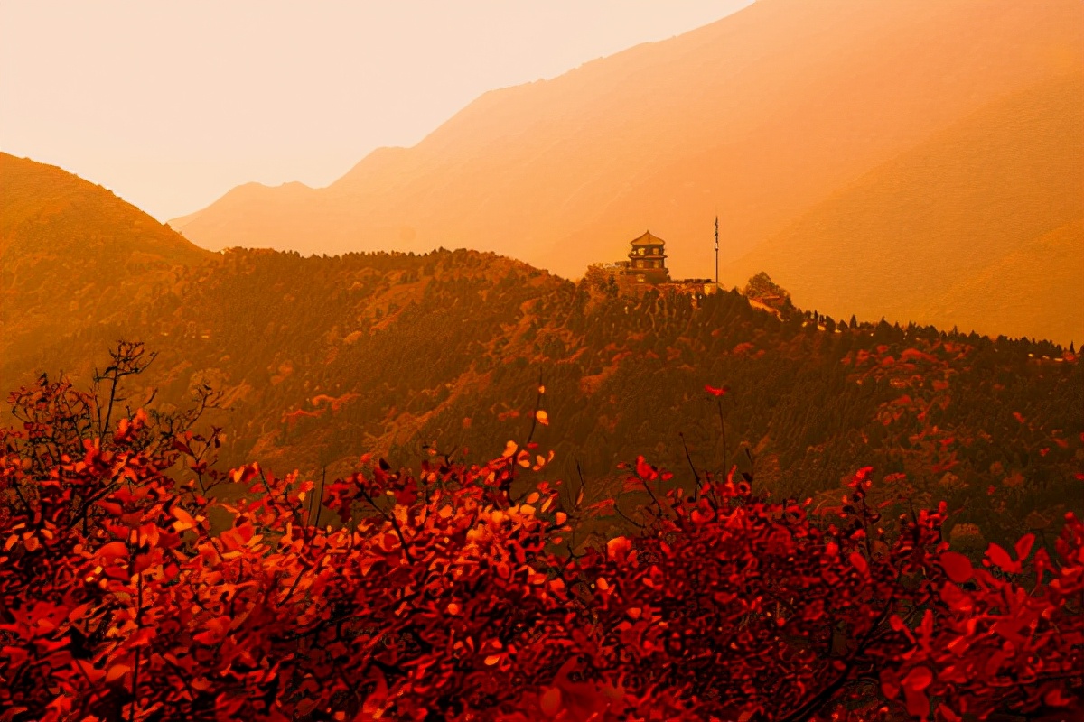 香山门票多少钱(北京香山红叶盛宴已就绪,被誉为燕京八景,门票仅