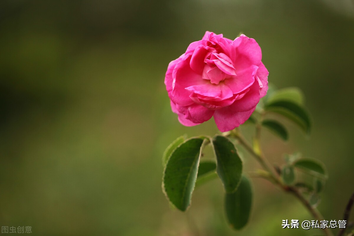 伤了，咬紧牙关，痛了，撑起腰杆