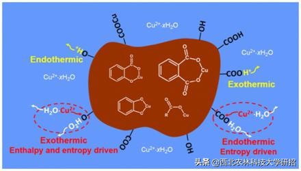 新进展！近期，西北农林科技大学9项科研成果登上国际权威期刊
