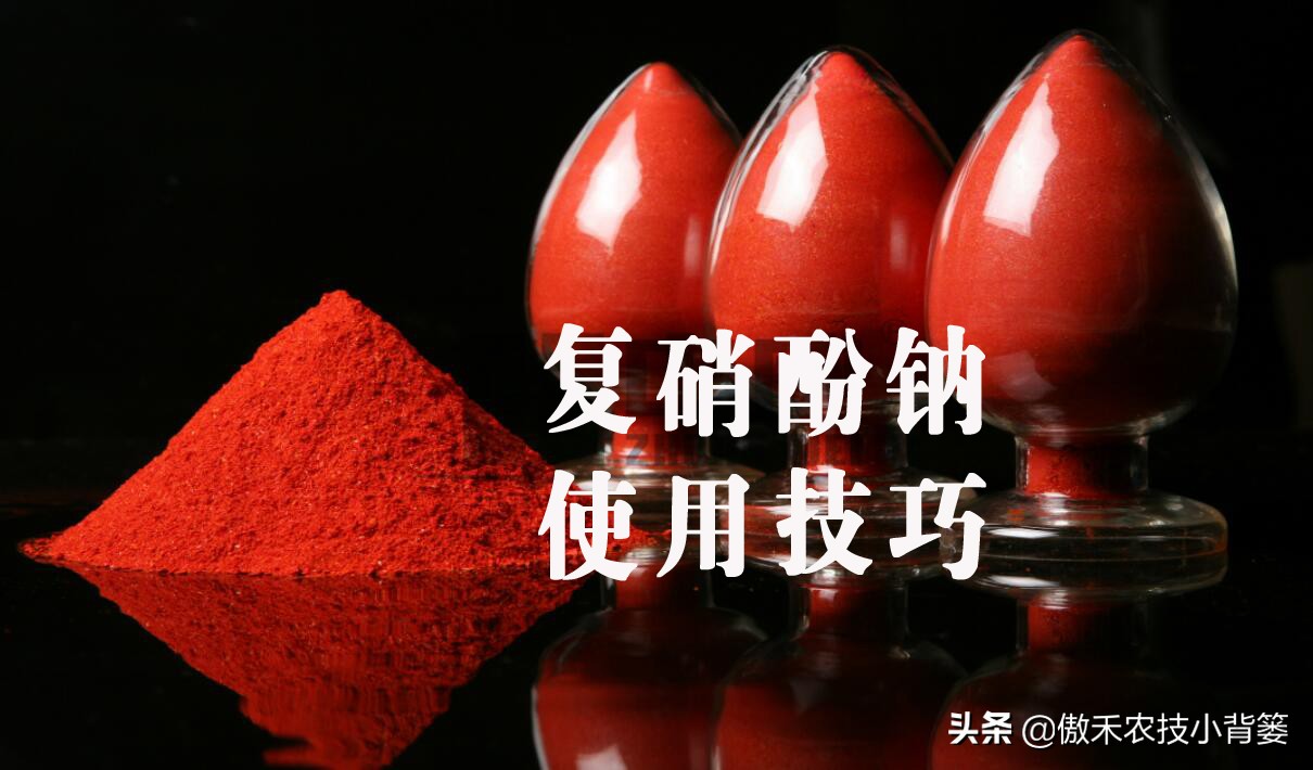 掌握方法技巧作物使用效果好(农作物种植技巧)