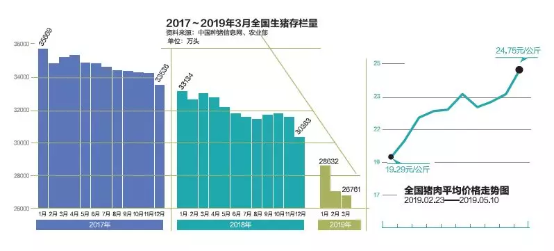 非洲猪瘟肆虐百万头生猪被扑杀 猪粮如何安天下？