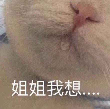 可爱猫猫的表情包合集｜咋回事呢，小老弟