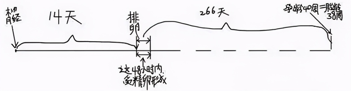多囊女生的孕周算法不一样！算错容易出问题
