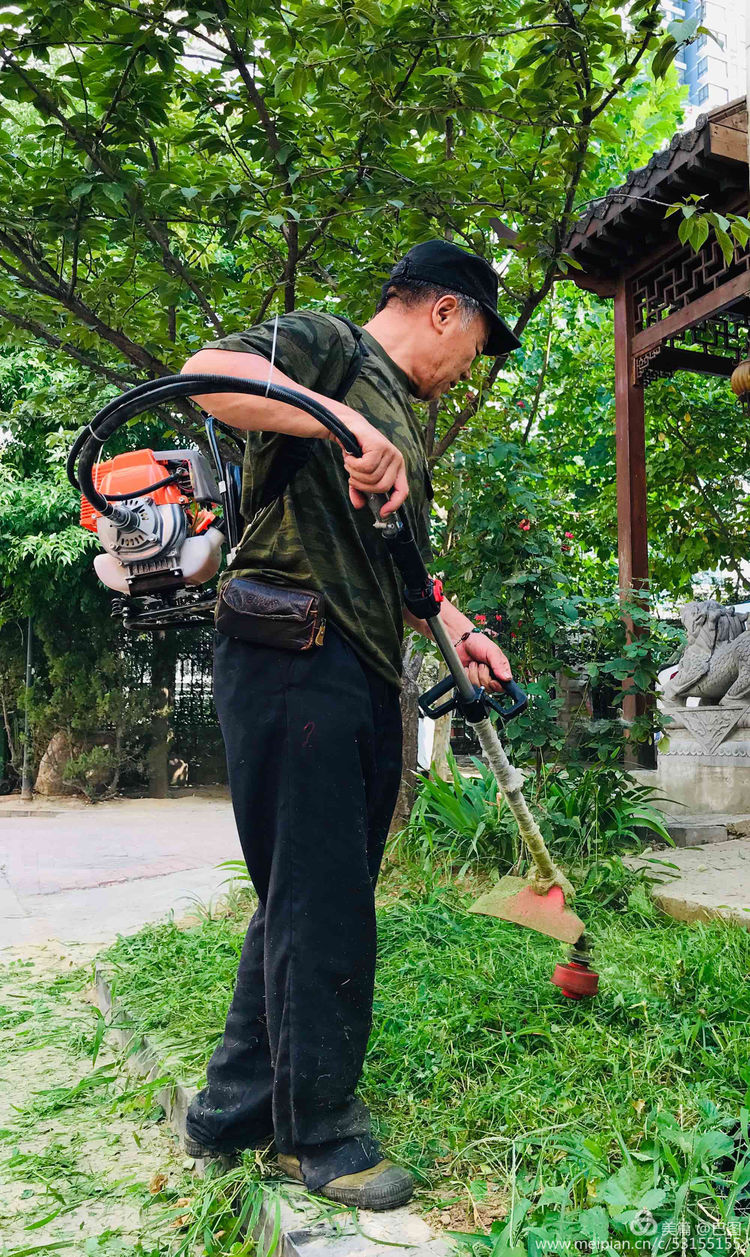 10月7日重阳节，十几首诗词100幅照片，致敬天下老年人