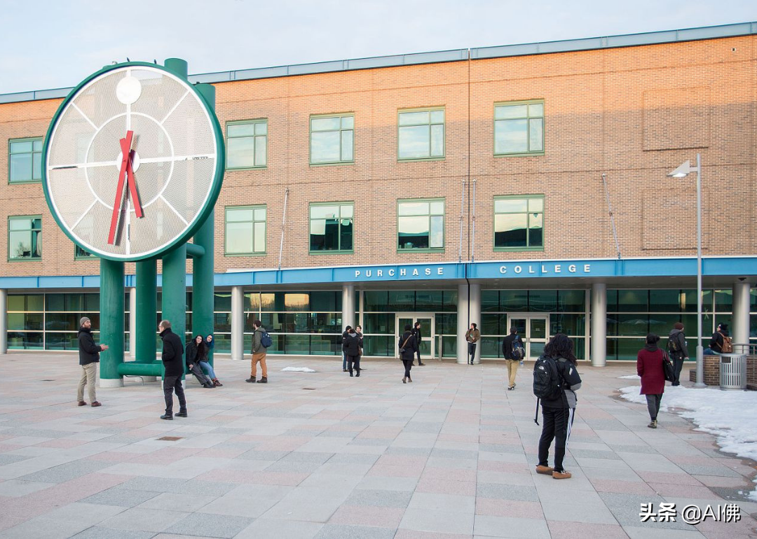 美国最自由的公立大学