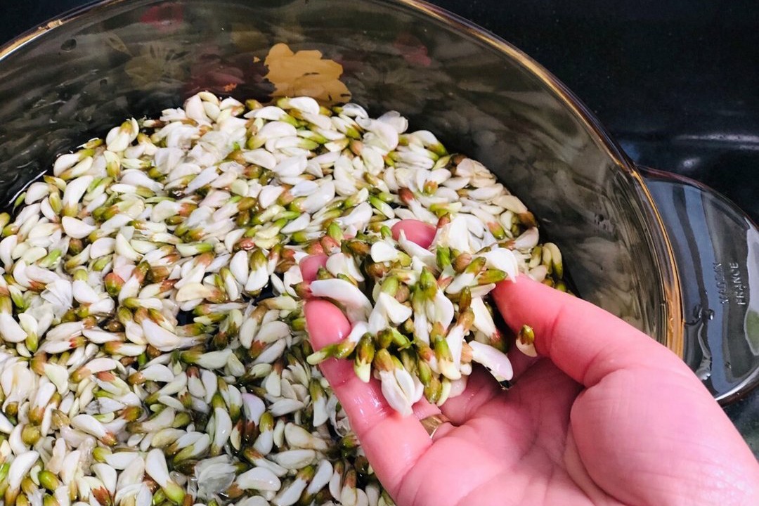 吃了30年槐花，才知道用这种方法就能保存起来，放一整年都不会坏