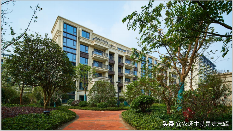 “学区房”魔都上海，虹桥 七宝 莘庄 松江大学城  4所九年制学校