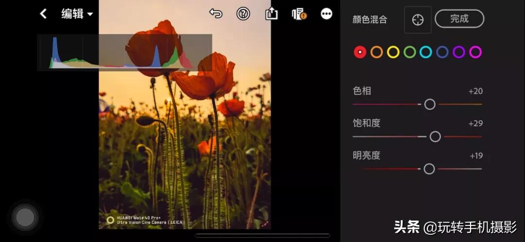 拍花后期！调色用对了，就很有春天的感觉