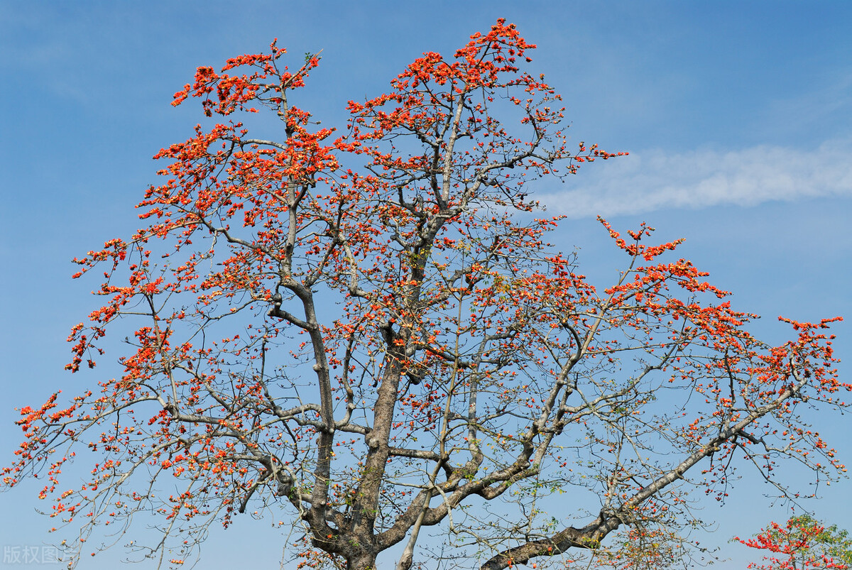 东莞理工学院地址（2021东莞理工学院本科招生录取情况表）