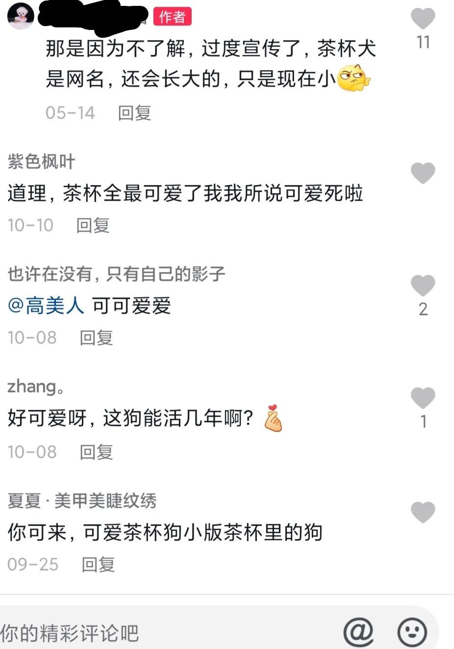 小巧可爱的茶杯犬，为什么那么少见？茶杯犬背后的残忍你想象不到