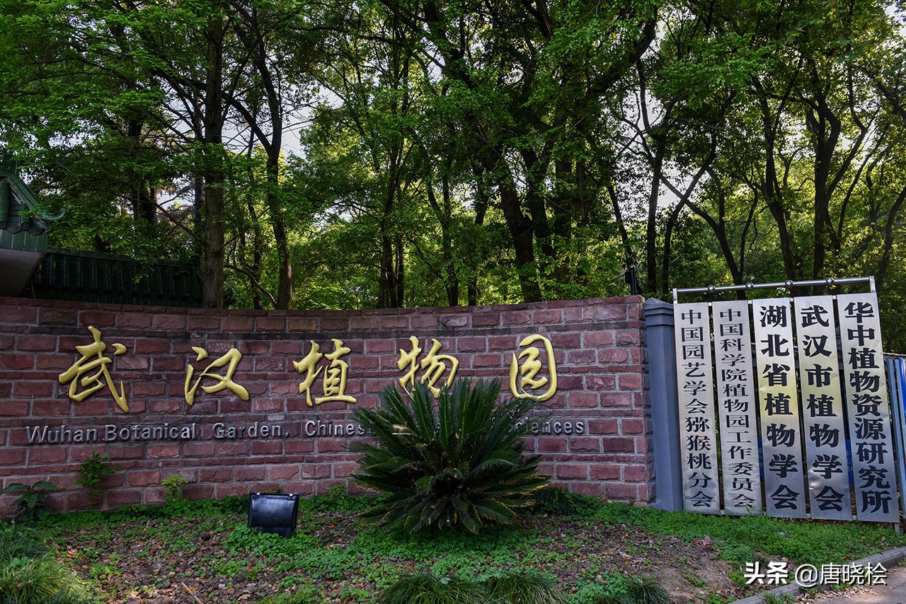 武汉十大旅游必去景点，赶紧先收藏起来呗