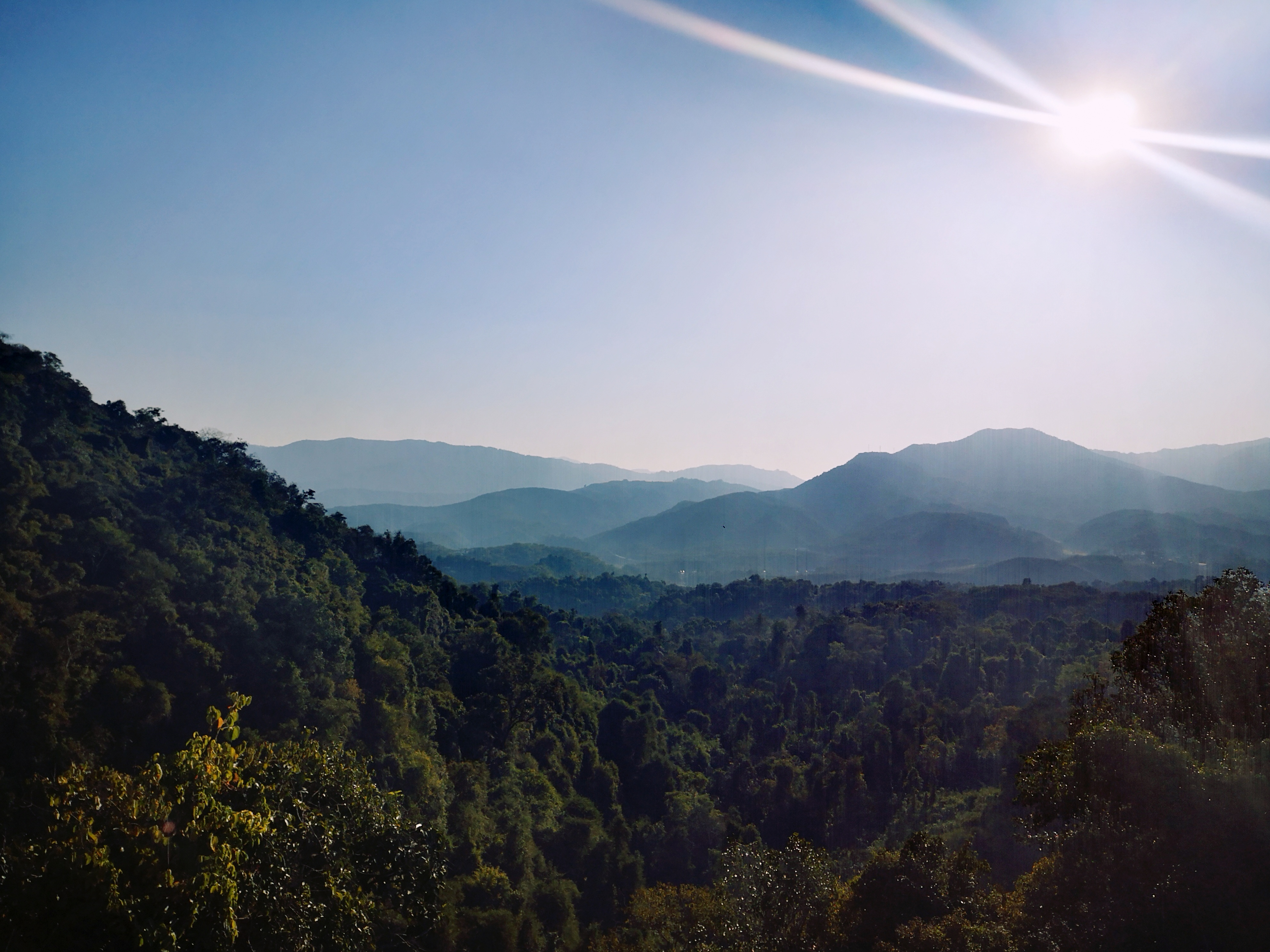 西双版纳8天9晚2600元，中科院热带植物园最详细攻略看这一篇就够