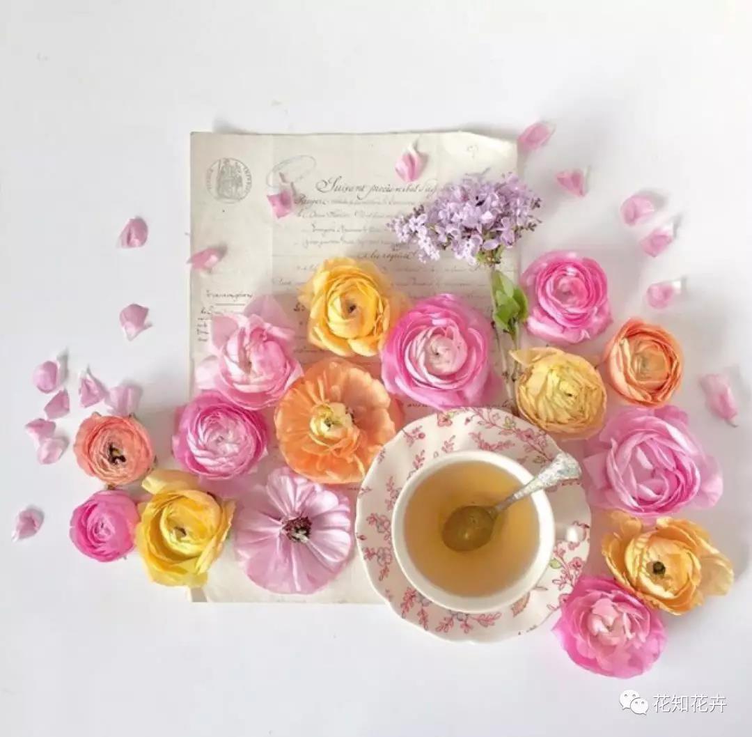 叫我“洋牡丹”？切，牡丹哪有我的花期长？