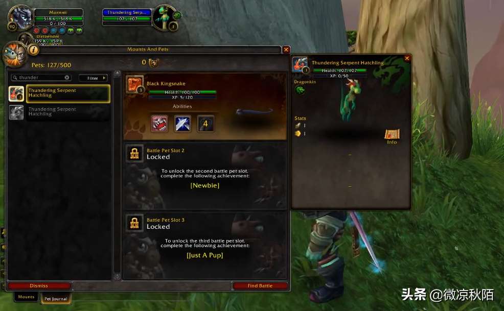 魔兽世界：黄金挑战绝版宠物回归，“黑市”开始消耗金币了