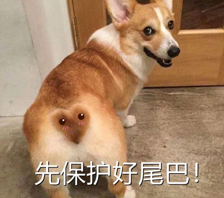 打新债，新账户更容易中签吗？