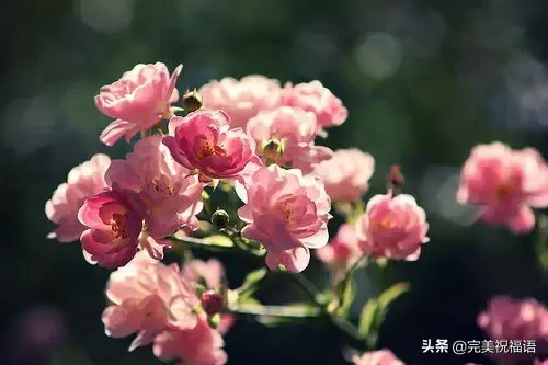 心宽,路自宽