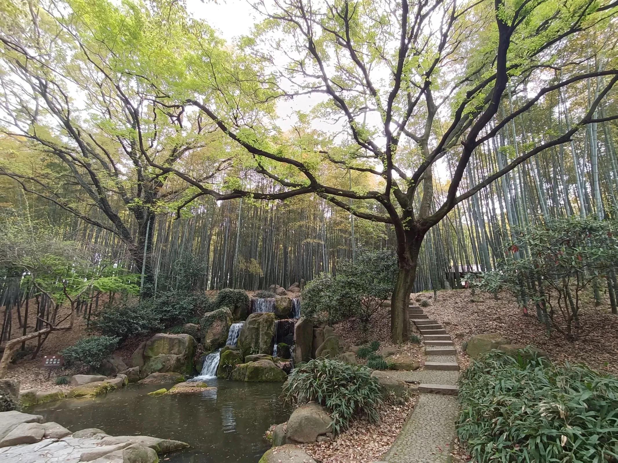 苏州的山之虎丘山