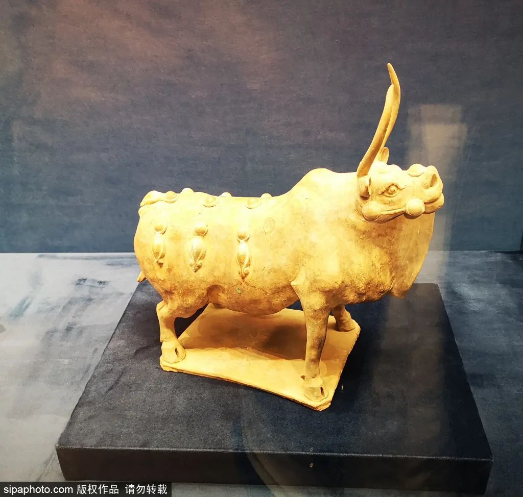 假期还没出门？雨雨雨模式，幸好还能去……