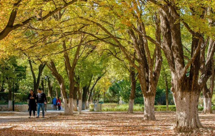 山东大学迎来新校区，投资125亿，将在2024年完成一期配建