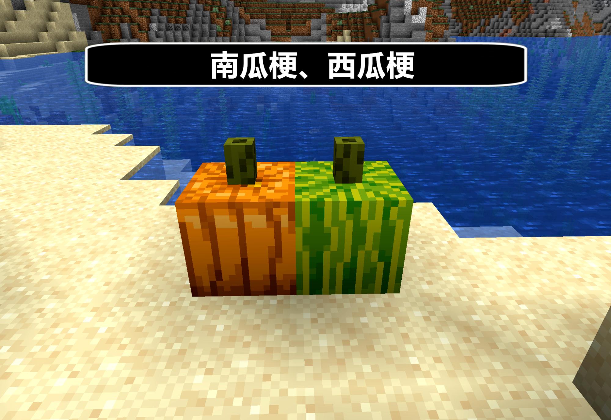 “水下火把”是什么梗？我的世界：海泡菜你可能不知道的12个事实