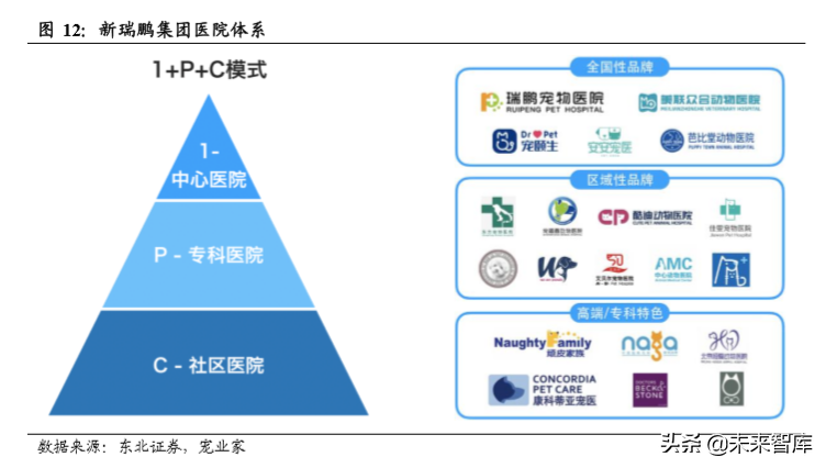 宠物食品招聘（宠物食品行业专题报告）