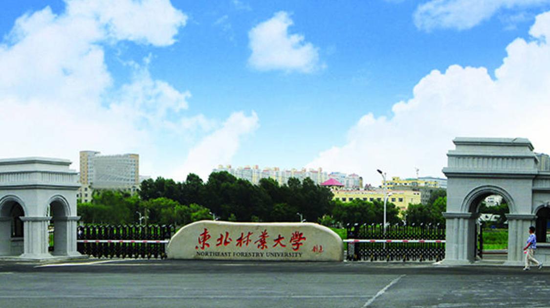 这所双一流院校，占地面积是清华北大的数倍，但地理位置少有人知