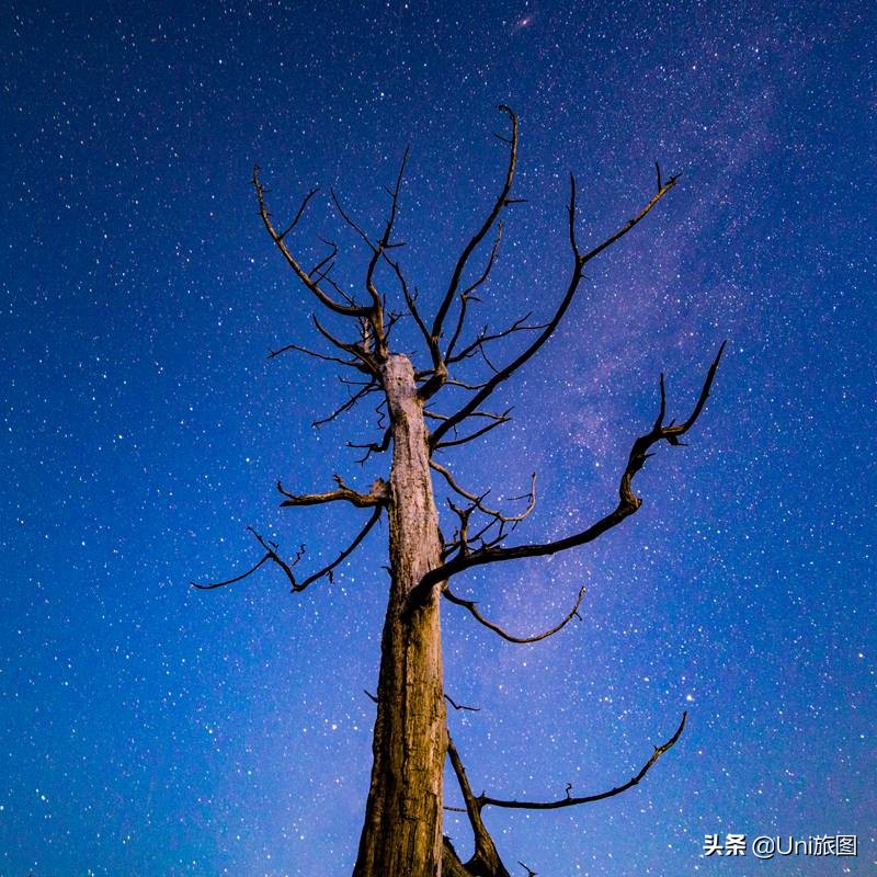迷人夏夜！20张唯美的星空摄影作品
