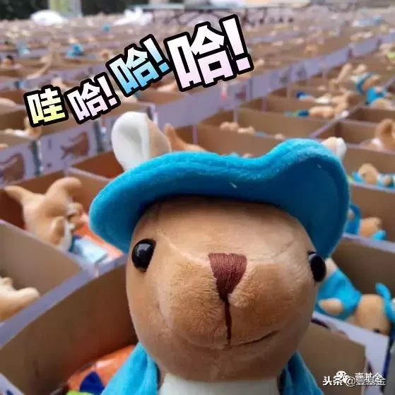 2018年接接接接近尾声了！