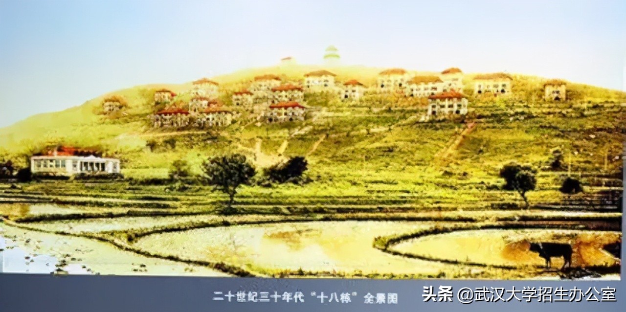 超50万人报考！来武汉大学，2025年，你将拥有“无价之物”！