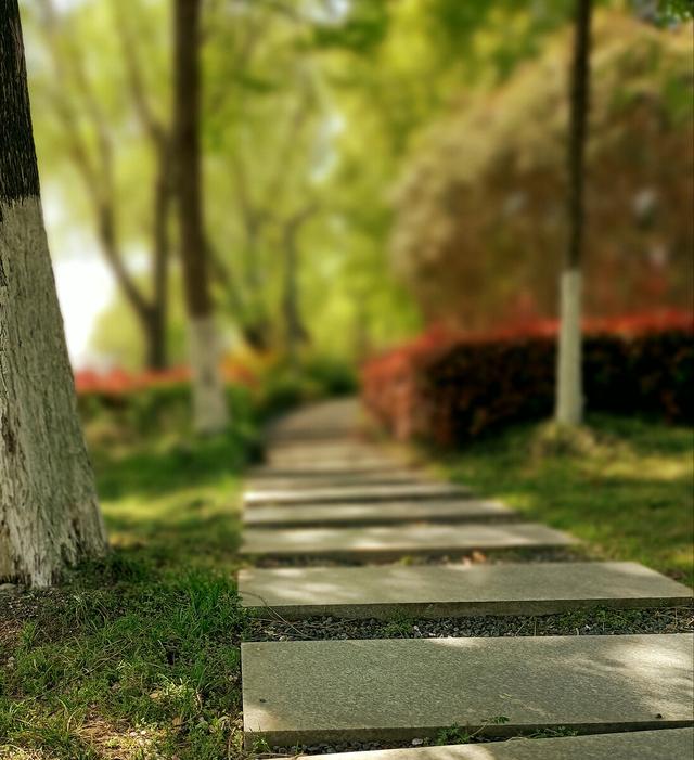形容绿荫的叠词有哪些？如何运用？通过造句来举例说明
