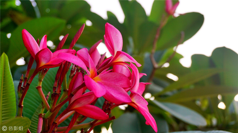 三天三夜欢乐长隆之旅（附攻略）