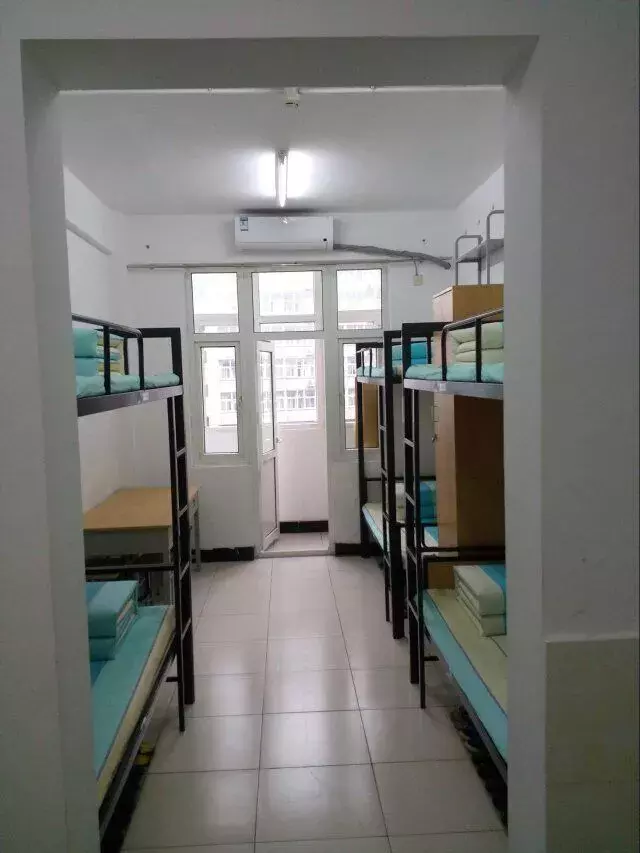 最强新生攻略！上园村三号怎么走？